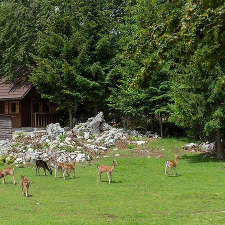 Apartma Vidmar Otlica Ajdovščina 外观 照片